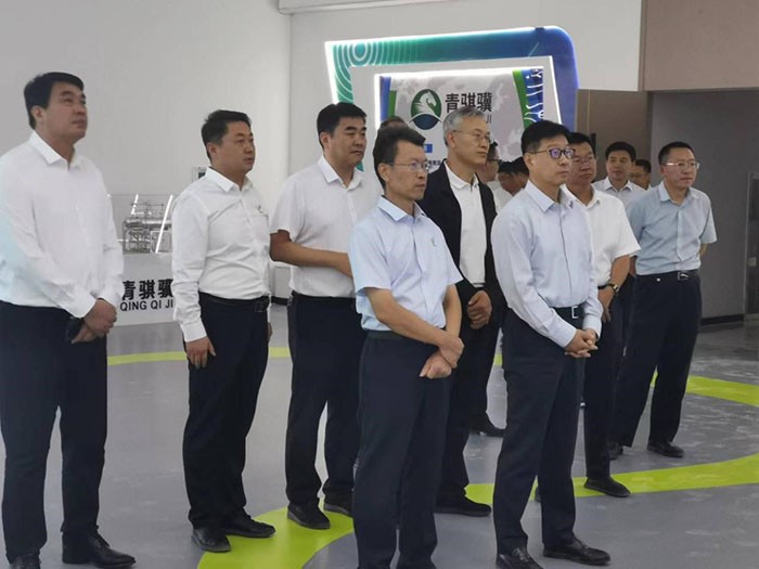 甘肃省副省长张锦刚一行莅临甘肃凯时尊龙调研视察
