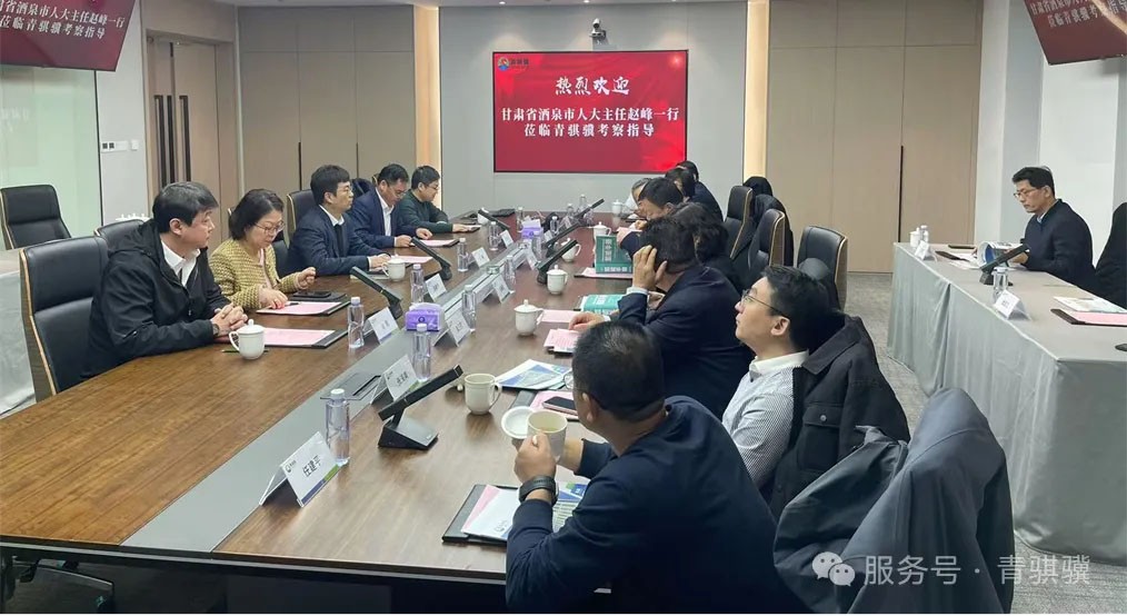 酒泉市人大常委会莅临凯时尊龙集团公司考察调研共谋氢能产业发展新篇章